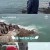 나만 믿고 따라와 도시어부3.E09.210701.720p-NEXT