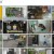 개는 훌륭하다.E85.210705.H264.720p-BULDU
