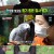 TV 동물농장.E1030.210718.720p-NEXT