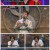 슈퍼밴드2.E04.210719.720p.H264-F1RST