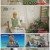 송민호의 파일럿.E05.210723.1080p.H264-F1RST