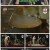 호동's 캠핑존 - 골라자봐.E09.210821.1080p.H264-F1RST