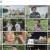 랜선장터.E11.210901.H264.720p-BULDU