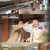 구해줘 숙소.E09.211027.720p-NEXT