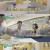시고르 경양식.E02.211101.720p-NEXT