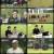 더스트롱맨2형들의전쟁.E05.211106.1080p.H264-Clean&dirty