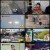 차트를 달리는 남자.E262.211120.450p