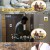 살림하는 남자들 시즌2.E228.211120.720p-NEXT