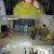 개는 훌륭하다.E104.211122.720p-NEXT