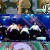 쇼 음악중심.E748.211127.720p-NEXT