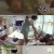 슈퍼맨이 돌아왔다.E417.211128.720p-NEXT