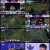 롤 더 넥스트 2021.E04.211206.450P-ANSAN