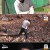 나는 자연인이다.E481.211208.720p-NEXT