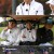 편먹고 공치리-내부의 적.E06.211211.720p-NEXT