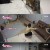 고양이를 부탁해.E166.211212.720p-NEXT