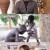 글로벌 도네이션쇼 W.211216.720p-NEXT