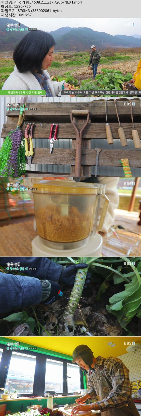 17504251205539.jpg