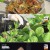 휴먼다큐 사노라면.E513.211217.720p-NEXT