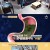 산전수전 여고동창생.E55.211219.720p-NEXT