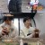1박 2일 시즌4.E107.220102.720p-NEXT