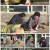 자급자족원정대.E01.220106.1080p.H264-F1RST