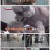 TV 동물농장.E1052.220109.1080p.H264-F1RST
