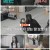 개는 훌륭하다.E110.220110.1080p.H264-F1RST