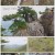 방랑고수.E05.220426.720p.H264-F1RST