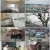상가인듯 주택인듯_ 건축탐구 집_ 220503