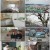 상가인듯 주택인듯_ 건축탐구 집_ 220503.mp4
