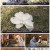 인간극장.E5315.220504.1080p.H264-F1RST.mp4