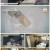 특종세상.E529.220505.720p.H264-F1RST.mp4