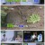 국과대표.E07.220507.1080p.H264-F1RST