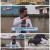 TV 동물농장.E1068.220508.1080p.H264-F1RST.mp4