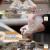 알토란.E385.220508.720p-NEXT.mp4