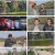 방랑고수.E07.220510.1080p.H264-F1RST.mp4