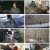 인간극장.E5320.220511.1080p.H264-F1RST.mp4