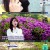 눈에 띄는 그녀들.E29.220512.720p-NEXT.mp4