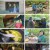 2TV 생생정보.E1550.220513.720p.H264-F1RST.mp4