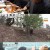 휴먼다큐 사노라면.E532.220513.720p-NEXT.mp4