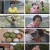 팔도밥상.E260.220514.1080p.H264-F1RST.mp4