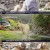 동물극장 단짝.E16.220514.720p-NEXT.mp4