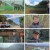 일요 특선 다큐멘터리.E280.220515.1080p.H264-F1RST.mp4