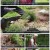 6시 내고향.E7536.220519.720p.H264-F1RST.mp4