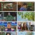 어쩌다 사장2.E13.220519.1080p.H264-F1RST.mp4