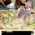 식객 허영만의 백반기행.E153.220520.720p-NEXT.mp4