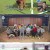 나 혼자 산다.E446.220520.720p-NEXT