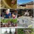 일요 특선 다큐멘터리.E281.220522.1080p.H264-F1RST.mp4