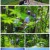 영상앨범 산.E834.220529.1080p.H264-F1RST.mp4
