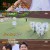 아는 형님.E335.220604.720p-NEXT